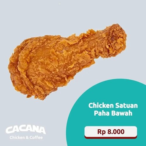 Chiken Satuan